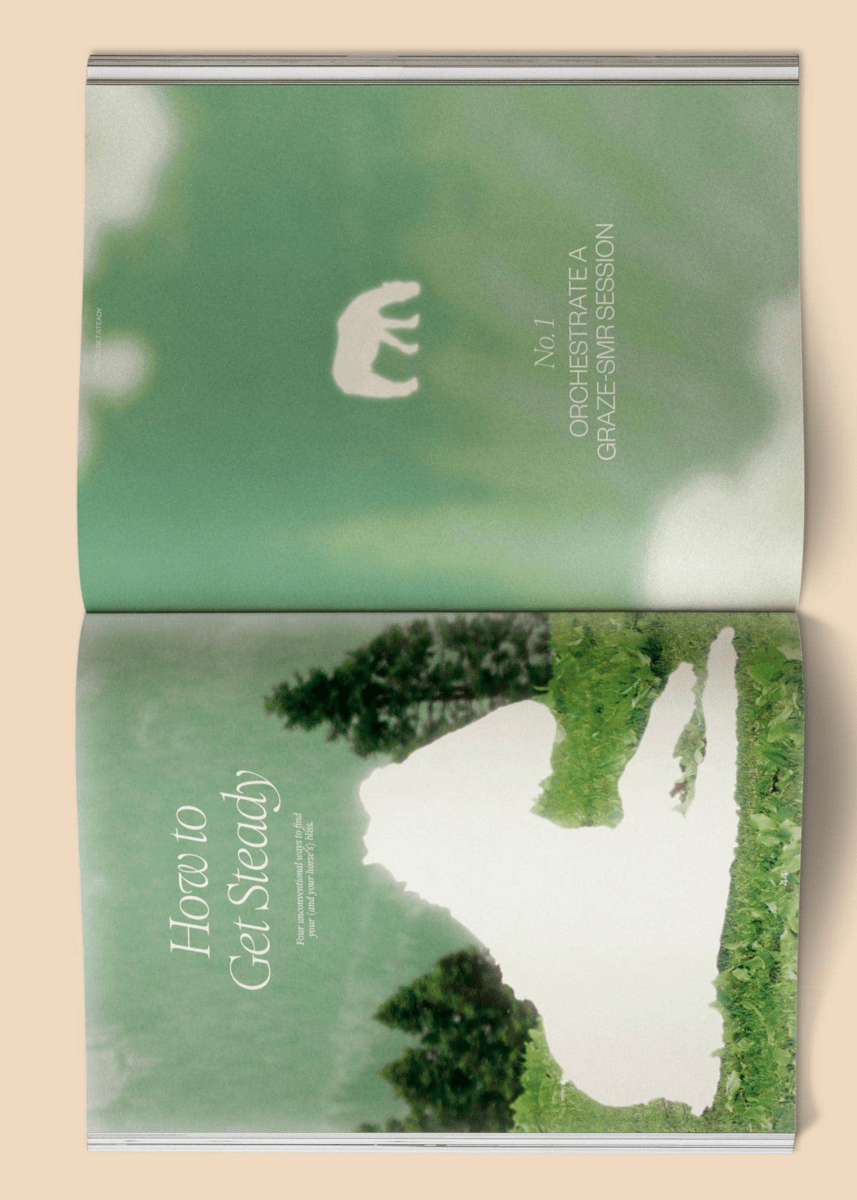 Calling All Horse Girls Magazine, Vol. 8: Steady Broccoli - Ex - voto