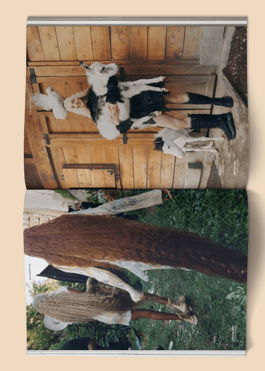 Calling All Horse Girls Magazine, Vol. 8: Steady Broccoli - Ex - voto