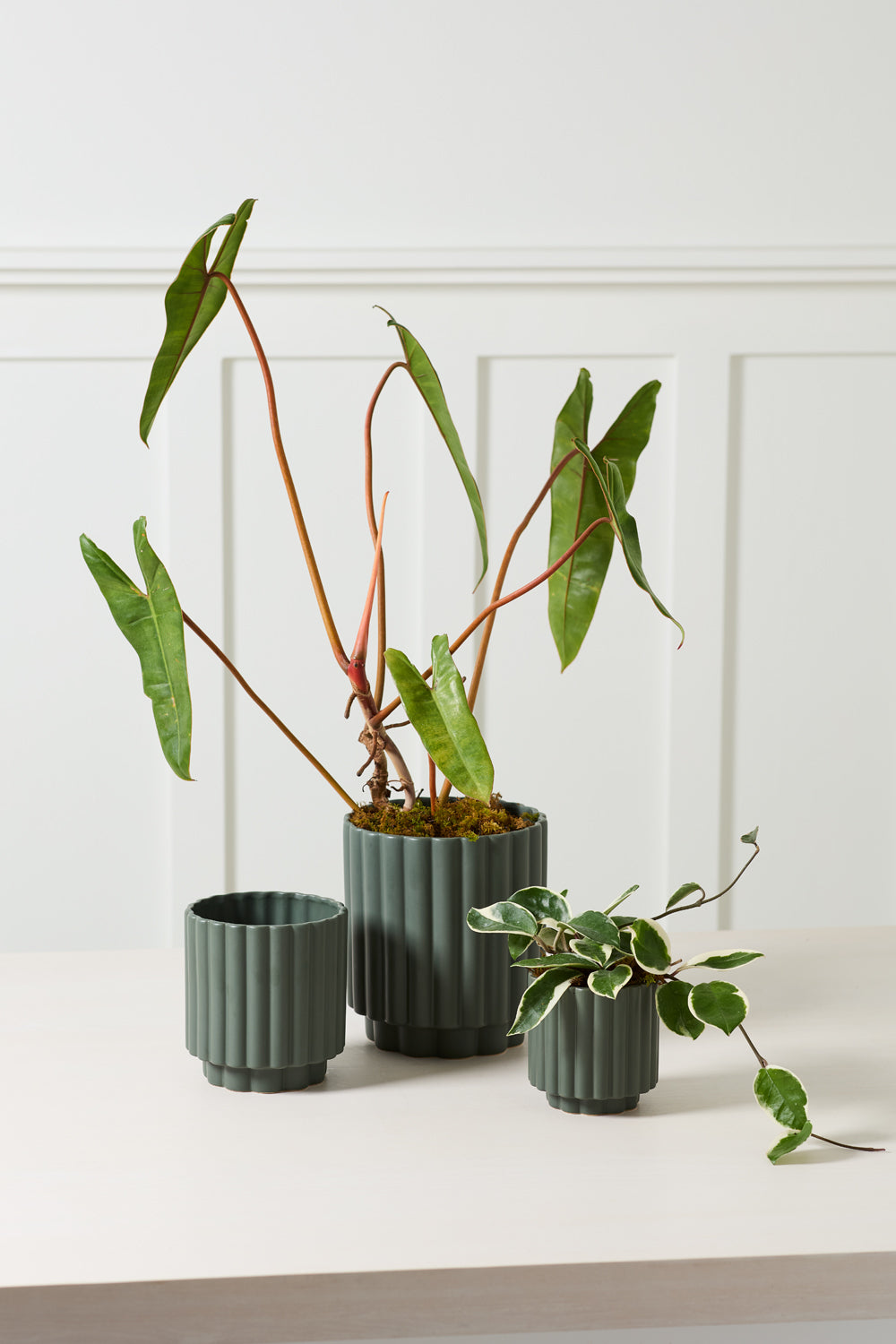 AD Dark Green 5.5 x 6 Carmen Plant Pot