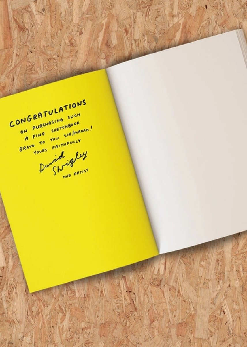 Carnet à Dessin My Artwork is Terrible D. Shrigley - Ex - voto