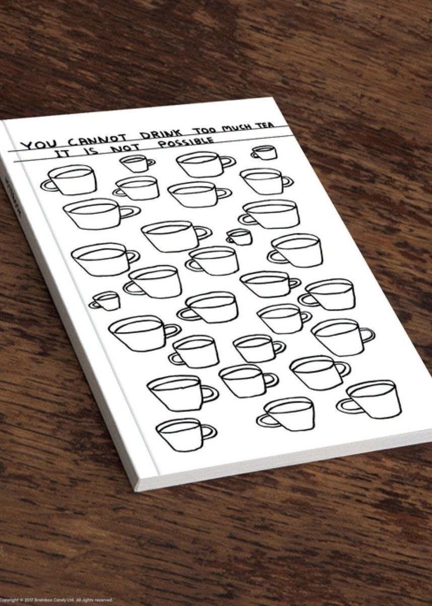 Carnet A5 Drink Too Much Tea D. Shrigley - Ex - voto