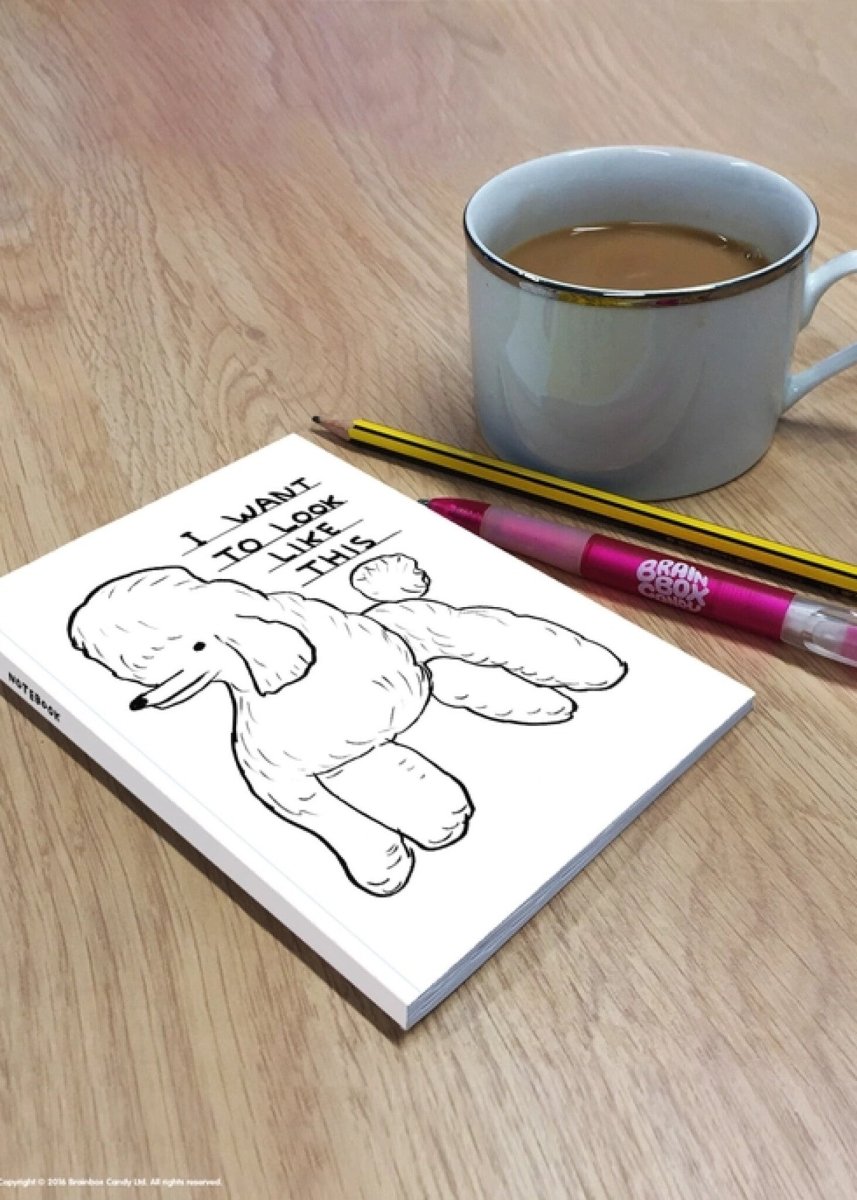 Carnet A6 I Want to Look like This D. Shrigley - Ex - voto