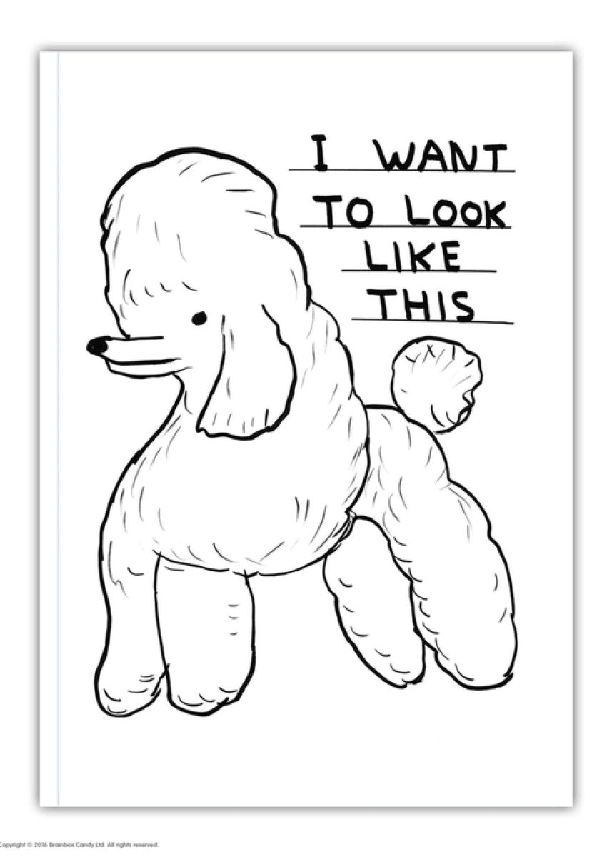 Carnet A6 I Want to Look like This D. Shrigley - Ex - voto