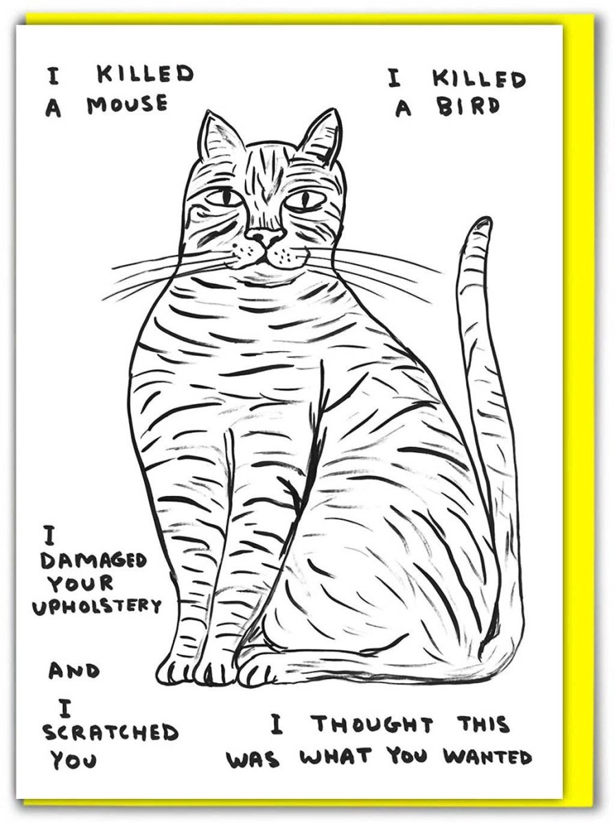 Carte de Souhaits I Killed A Mouse D. Shrigley - Ex-voto