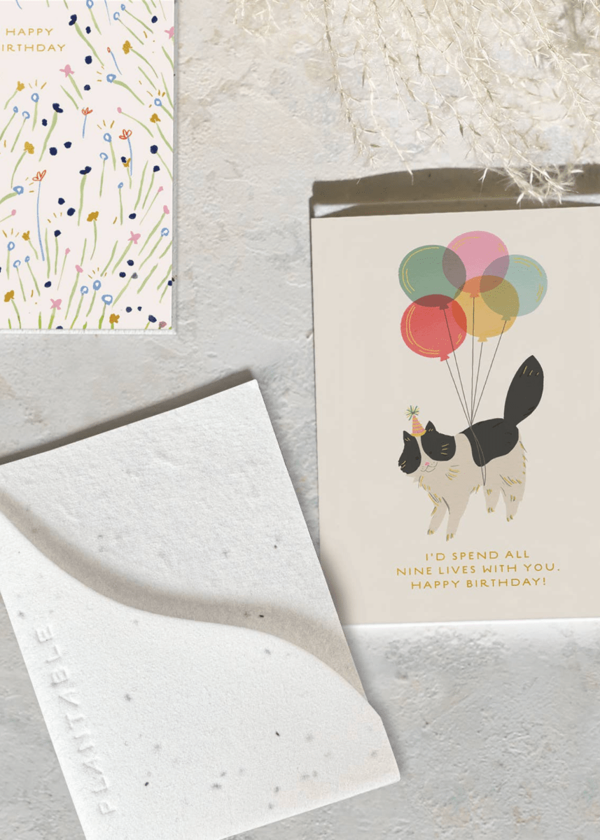 Carte de Souhaits Mini Birthday Kitty Seedlings - Ex - voto