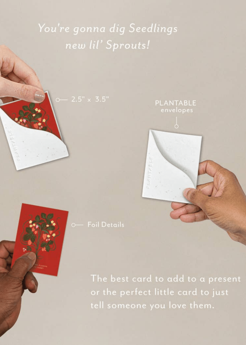 Carte de Souhaits Mini Sweet Strawberry Seedlings - Ex - voto