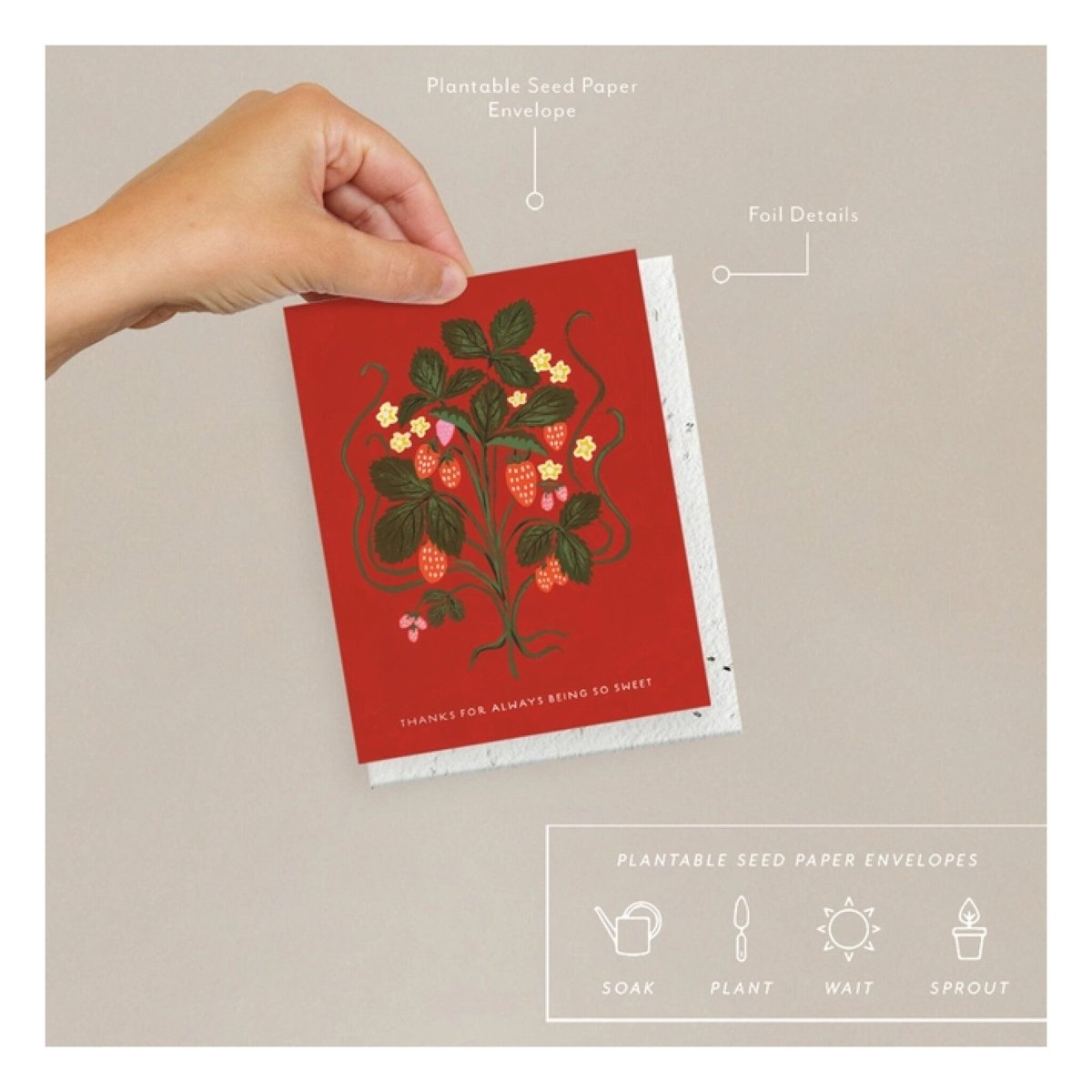 Carte de Souhaits Sweet Strawberry Seedlings - Ex - voto