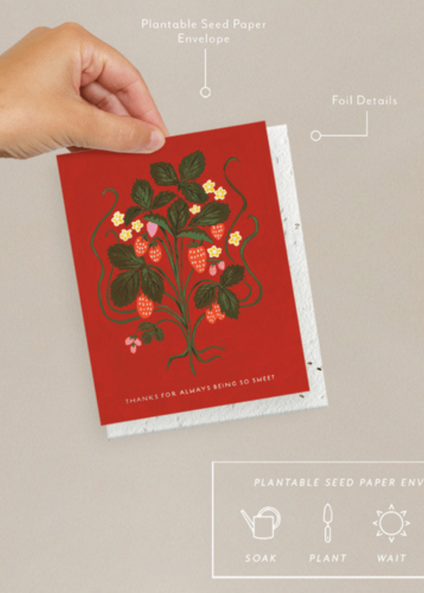 Carte de Souhaits Sweet Strawberry Seedlings - Ex - voto