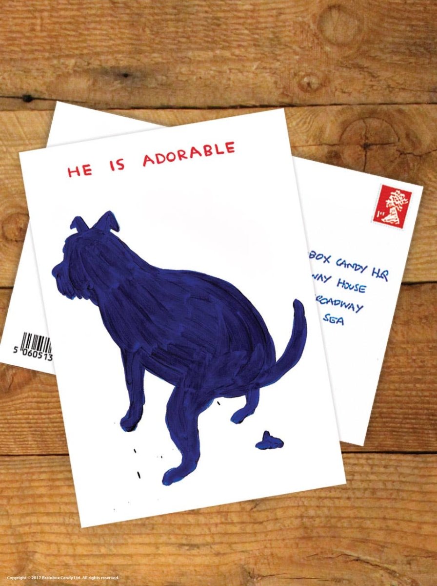 Carte Postale He Is Adorable D.Shrigley - Ex - voto