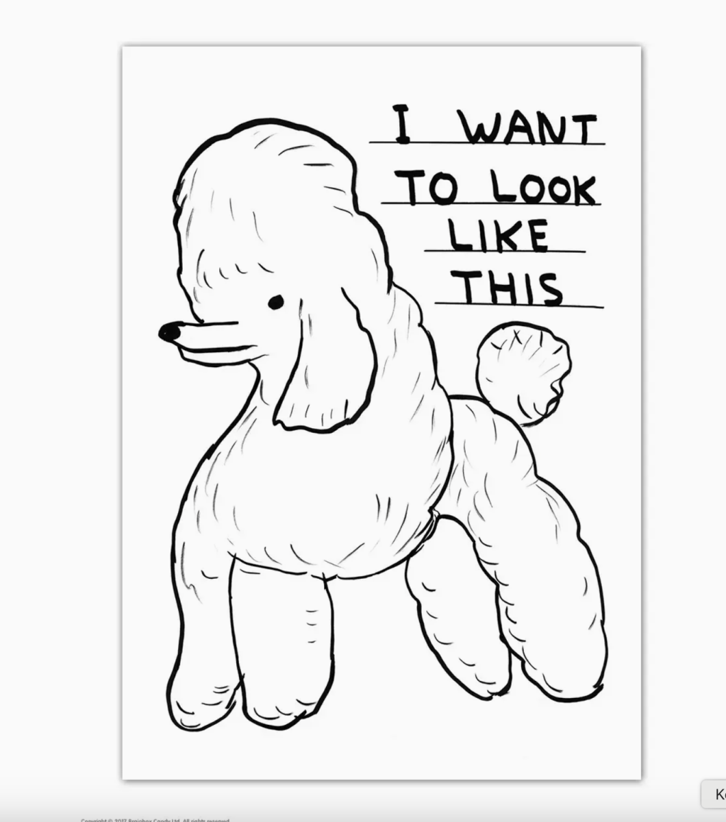 Carte Postale Want to Look like This D. Shrigley - Ex - voto