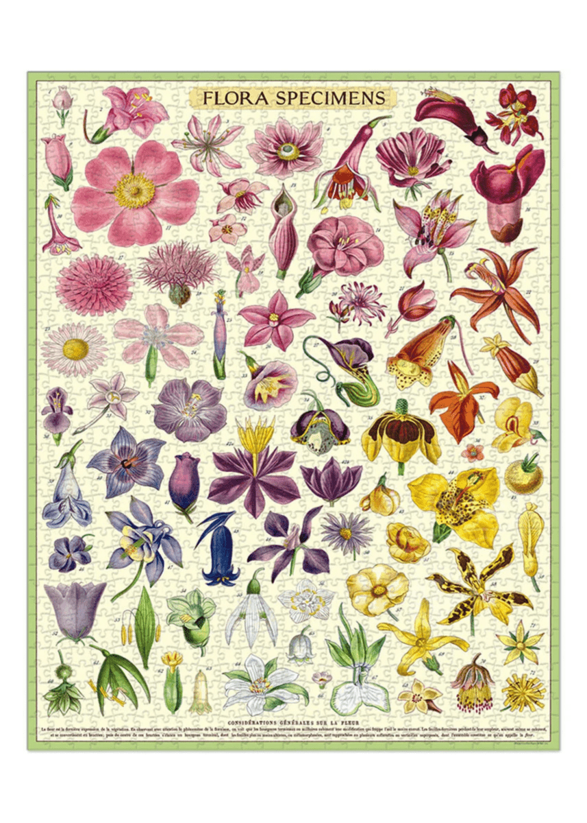 Casse - Tête Flora Specimens 1000 pièces Cavallini - Ex - voto