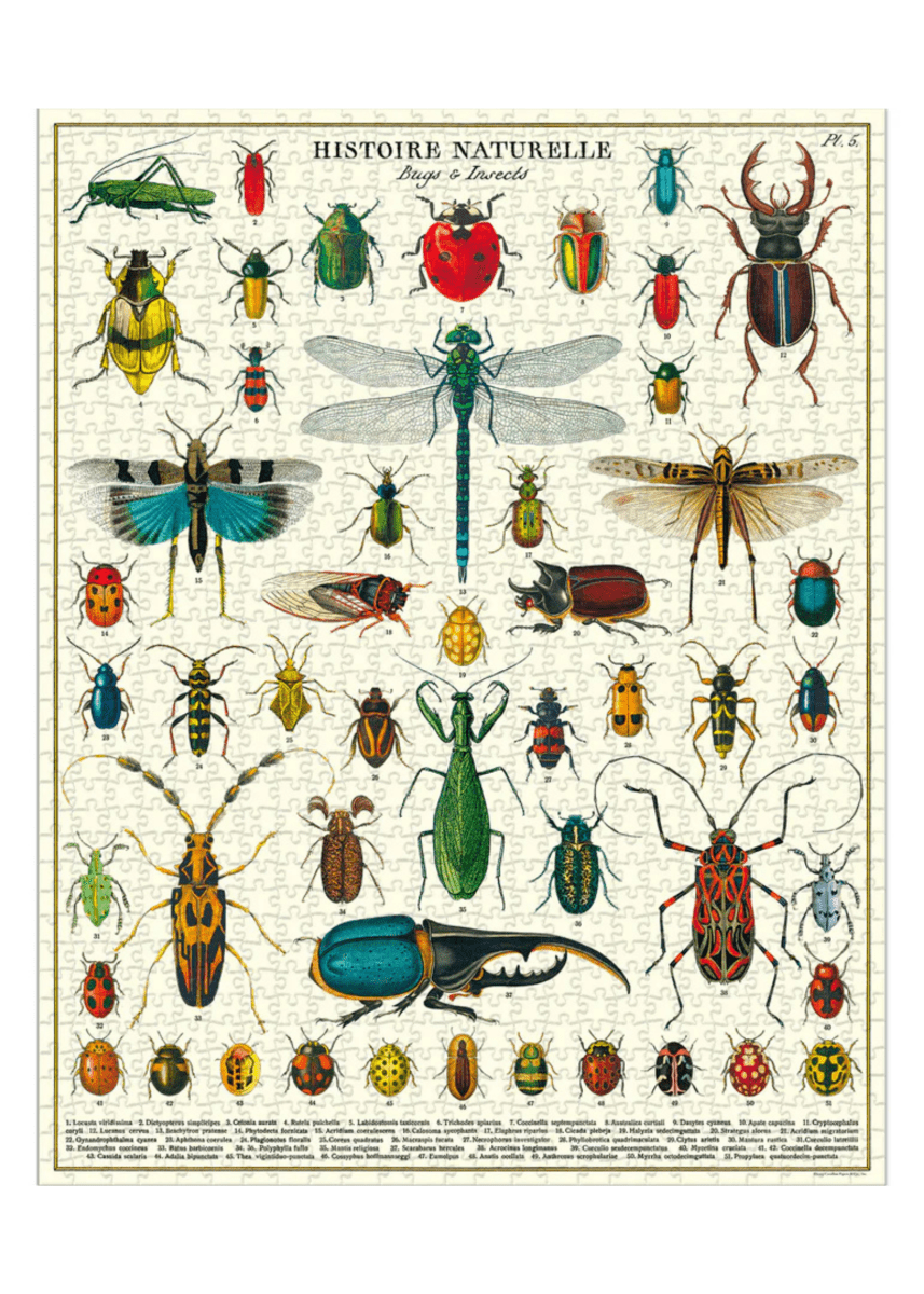 Casse - Tête Insectes 1000 pièces Cavallini - Ex - voto