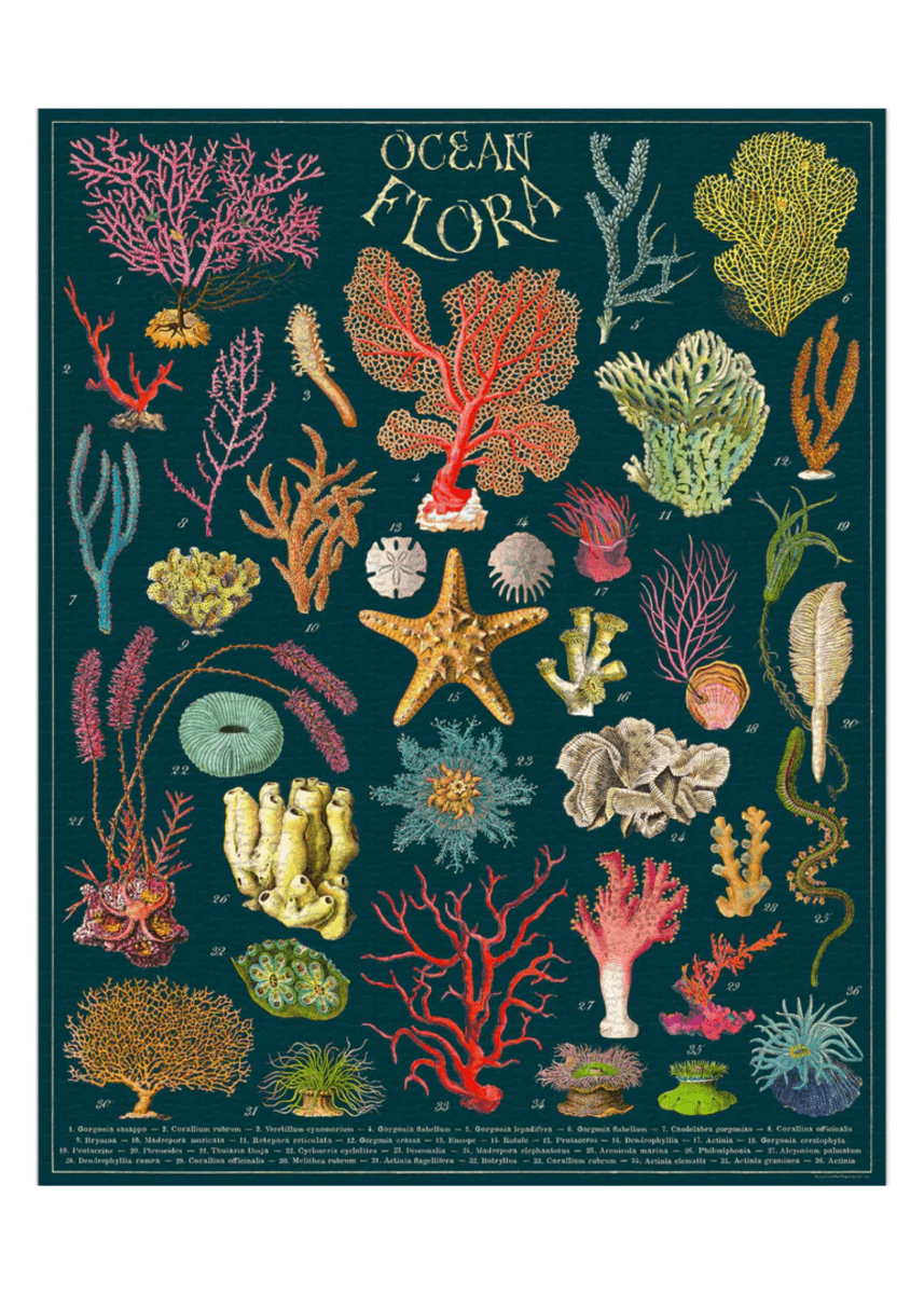 Casse - Tête Ocean Flora 1000 pièces Cavallini - Ex - voto