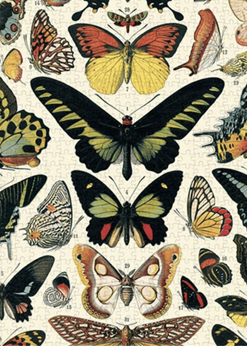 Casse - Tête Papillons 1000 pièces Cavallini - Ex - voto