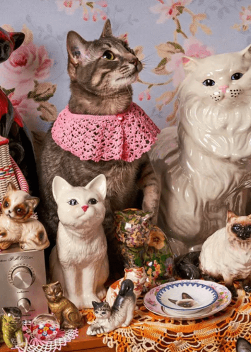 Casse - Tête Piecework Cat Person - Ex - voto