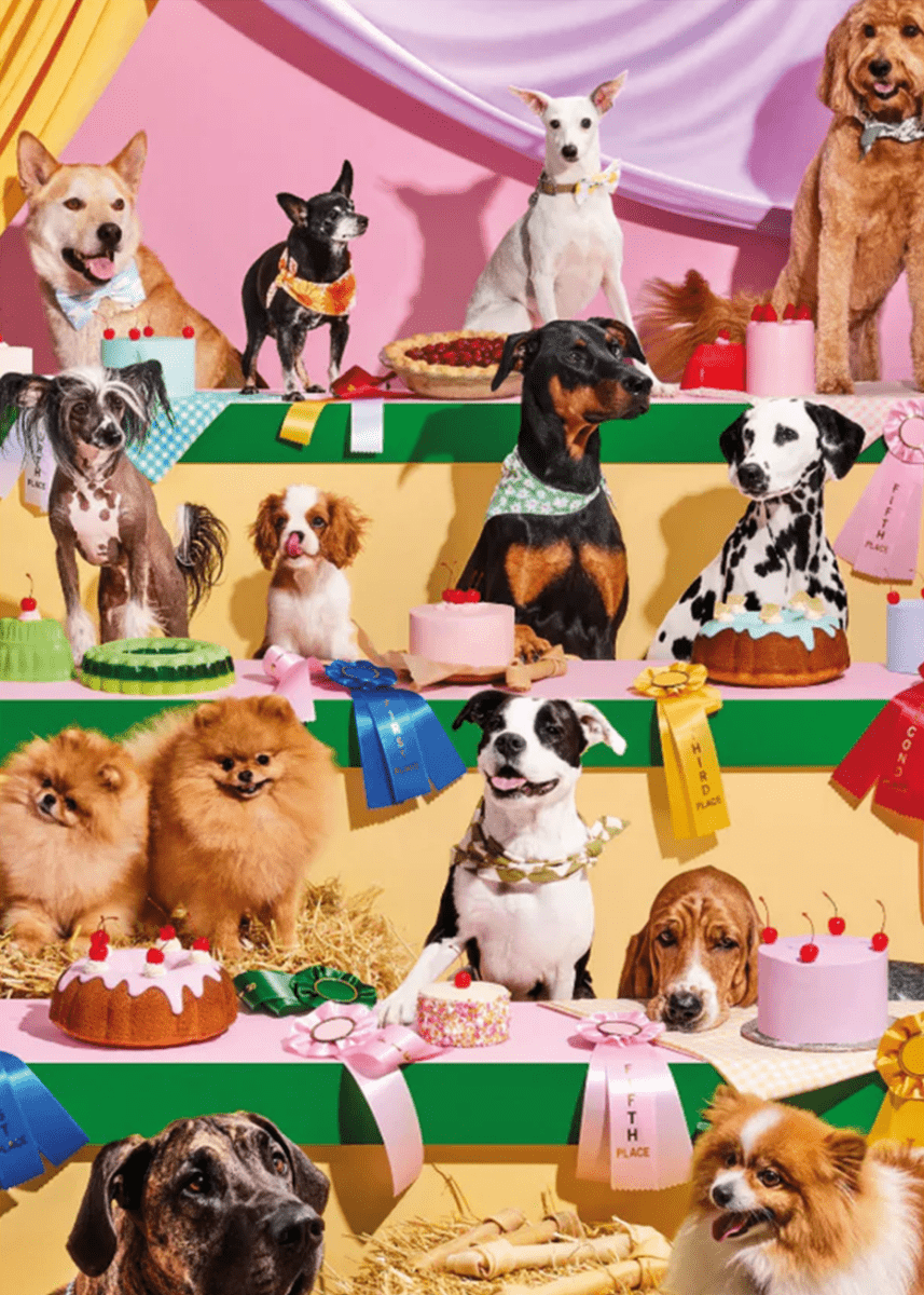 Casse - Tête Piecework Top Dog - Ex - voto