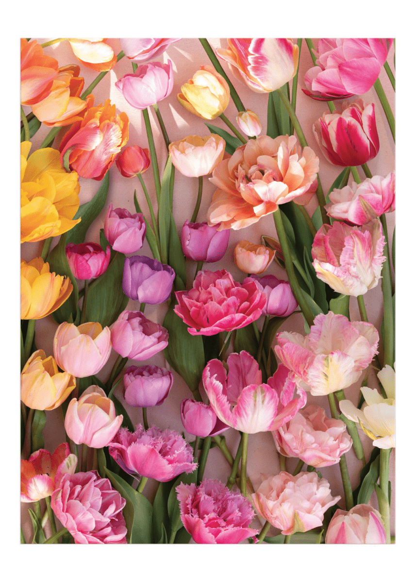 Casse - Tête Tulipes 1000 Pièces Chronicle Books - Ex - voto