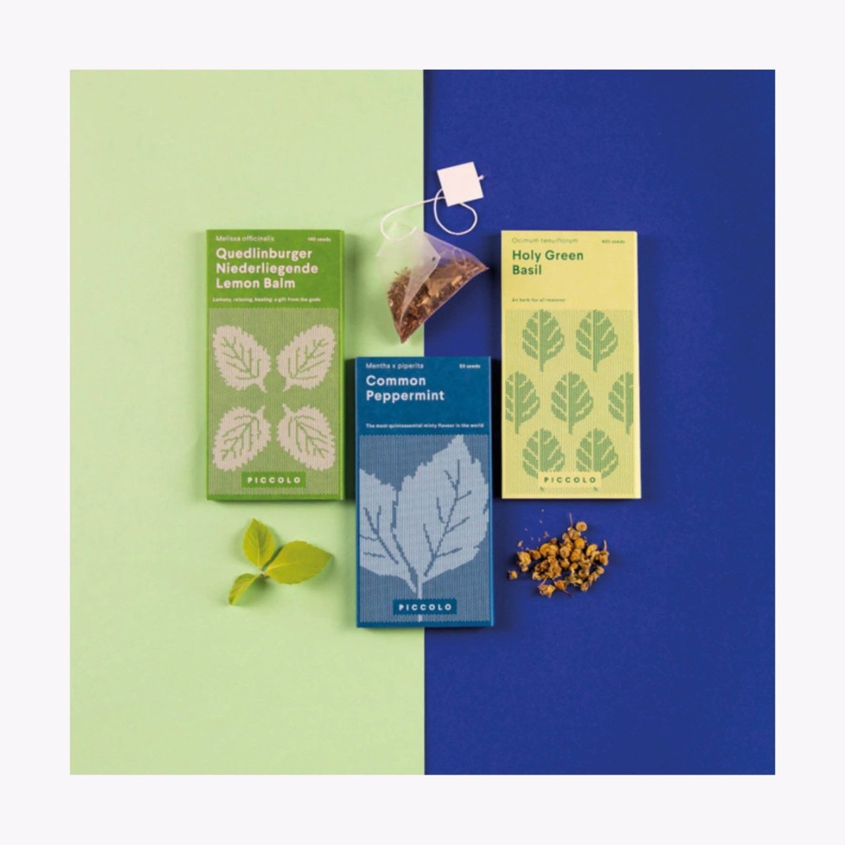 Collection de Semences Piccolo Seeds - Ex - voto