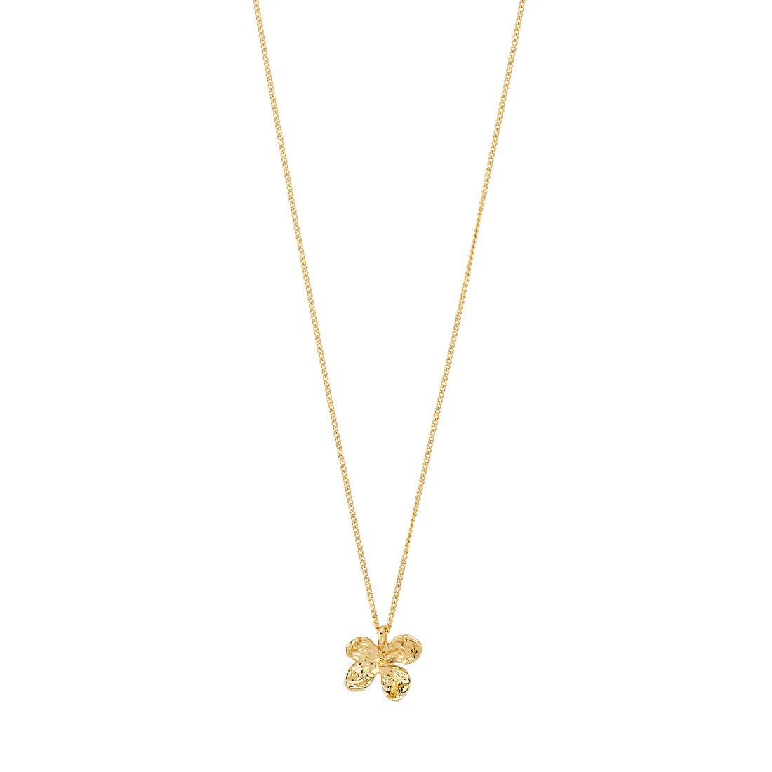 Collier Ajani Pilgrim (Or ou Argent) - Ex-voto