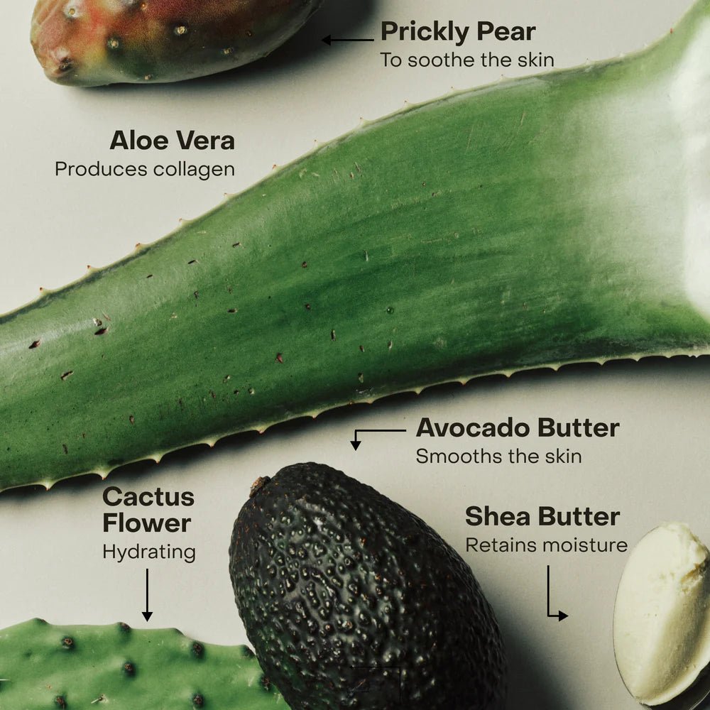 Crème BRALESS Sidia - Ex - voto