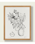 Affichette Avocado Botanical Cocoshalom 8 x11