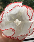Élastique Chouchou Blanc Dentelé Rouge Dipped Shop - Ex - voto