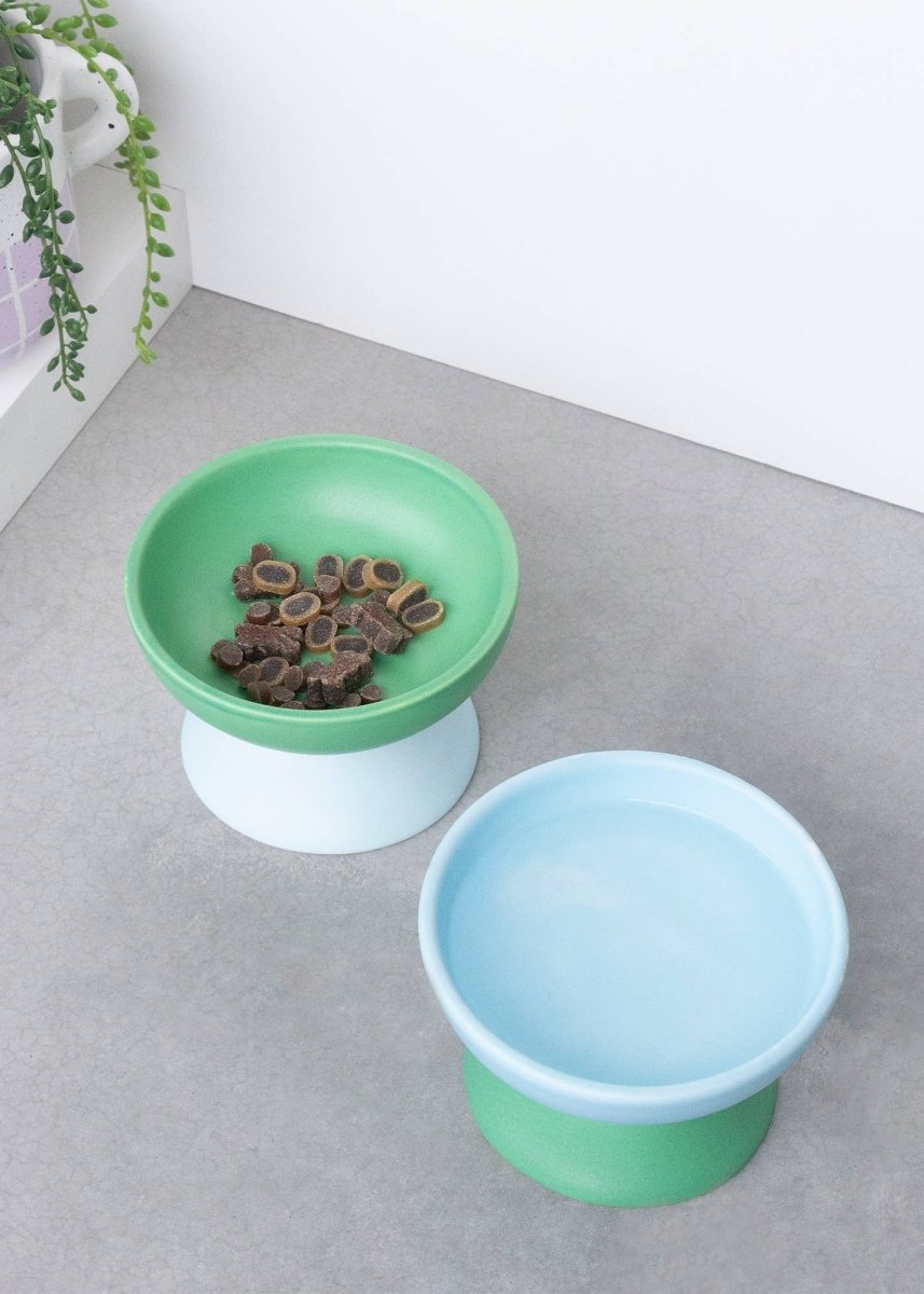 Ensemble de 2 Bols pour Animaux H.Ferretti - Ex - voto