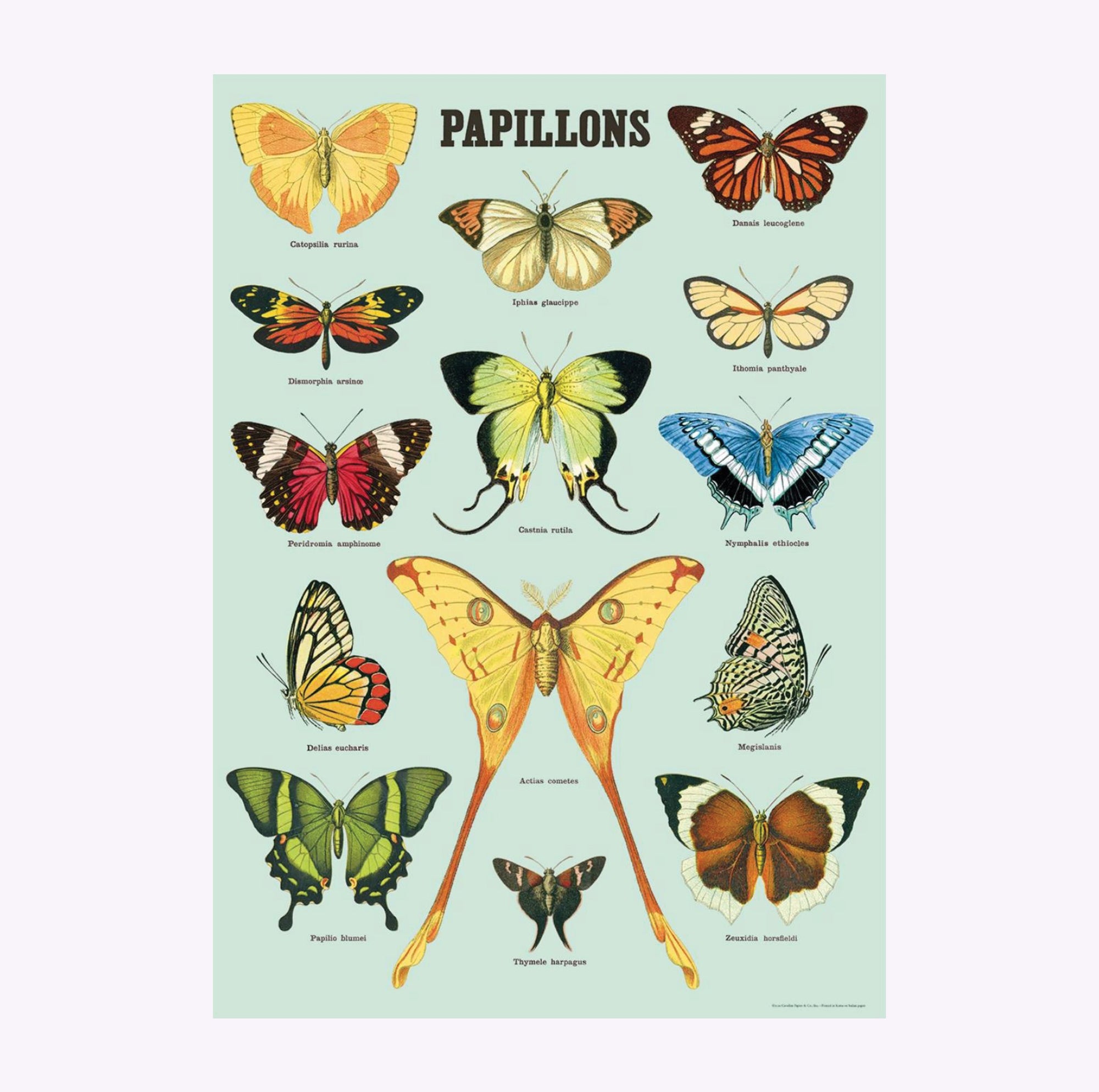 Affiche Cavallini Papillons