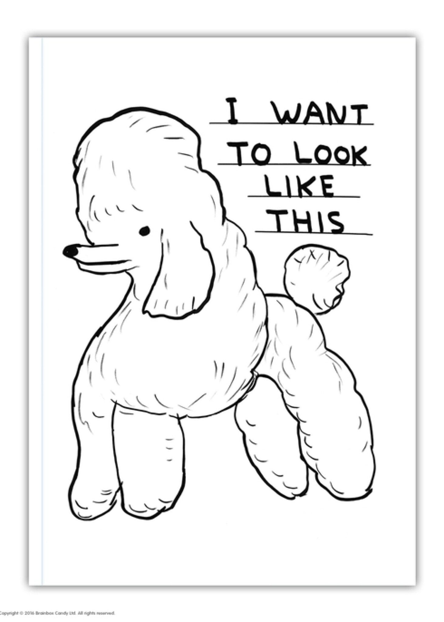 Carnet A6 I Want to Look like This D. Shrigley