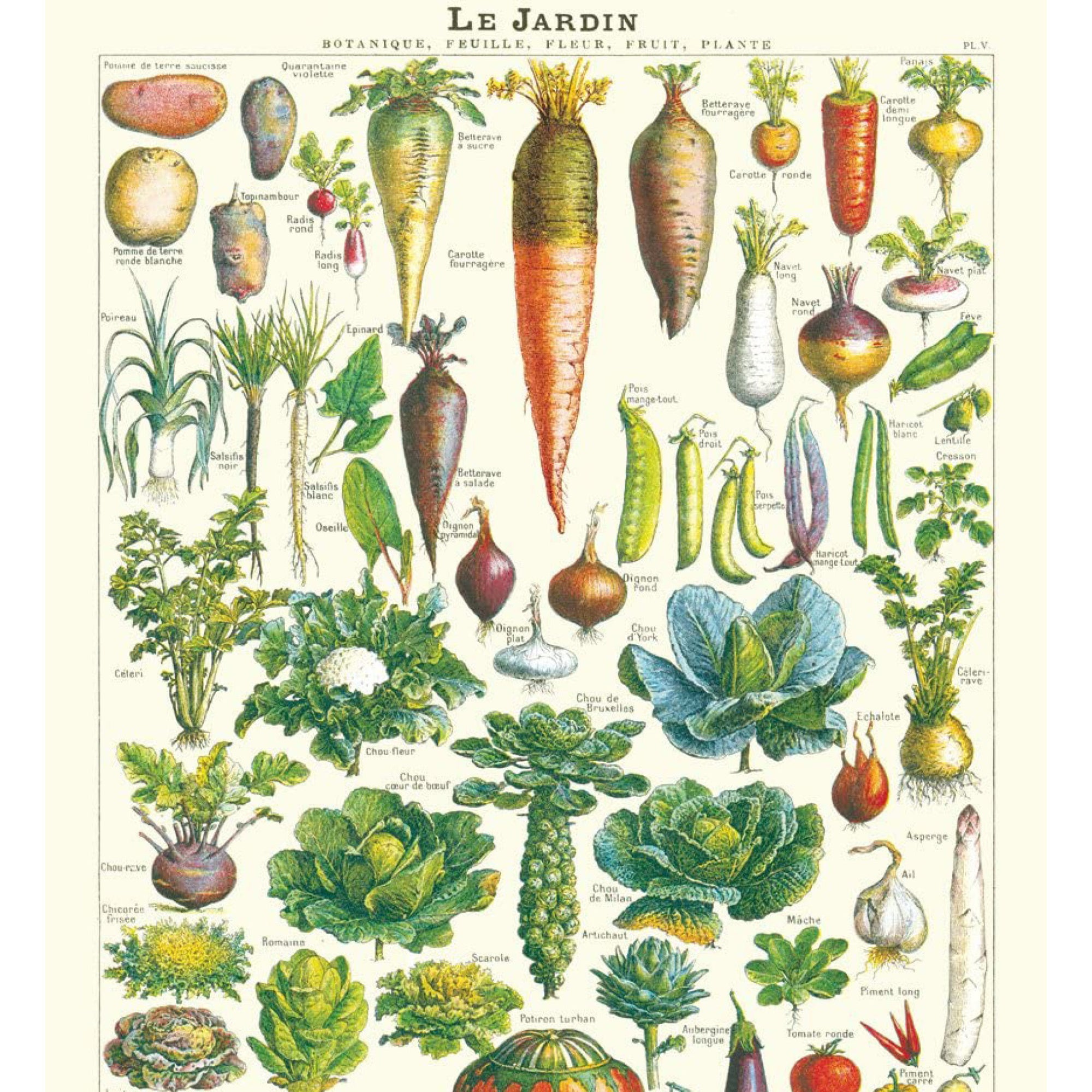 Affiche Cavallini Le Jardin