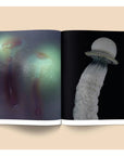 Livre de Photos Spores: Magical Mushrooms Broccoli