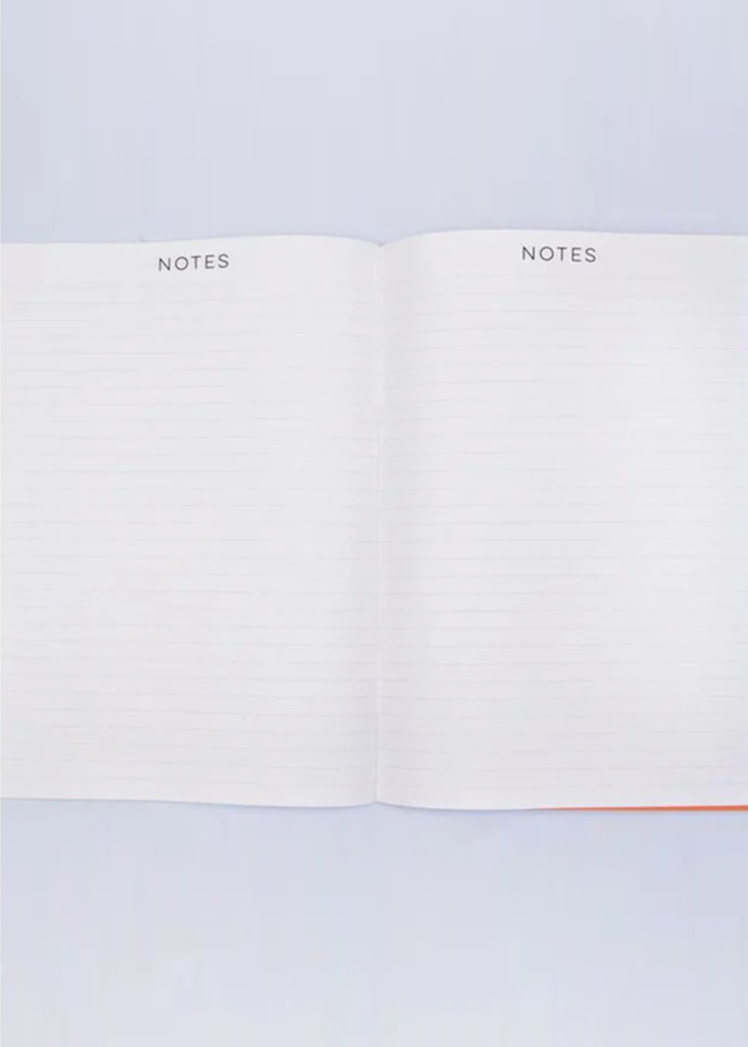 Agenda Non-Daté A4 The Completist