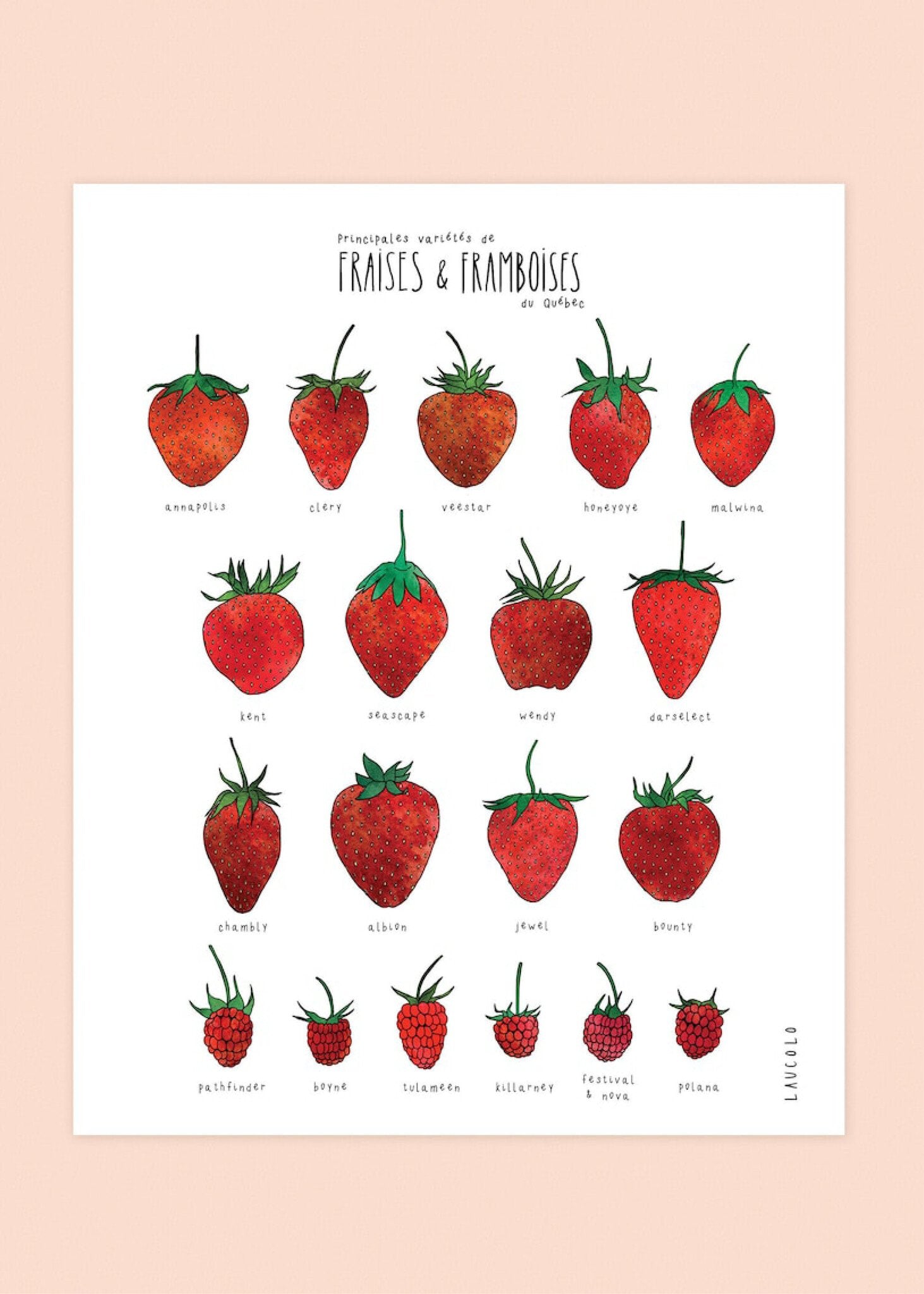 Affiche Laucolo 11 x 14 Fraises et Framboises