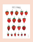 Affiche Laucolo 11 x 14 Fraises et Framboises