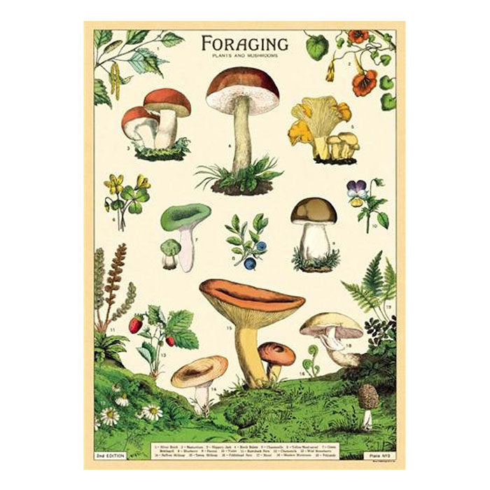 Affiche Cavallini Forage