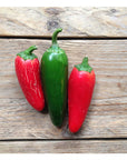 Semences de Piments Forts Piccolo Seeds (3 variétés disponibles)