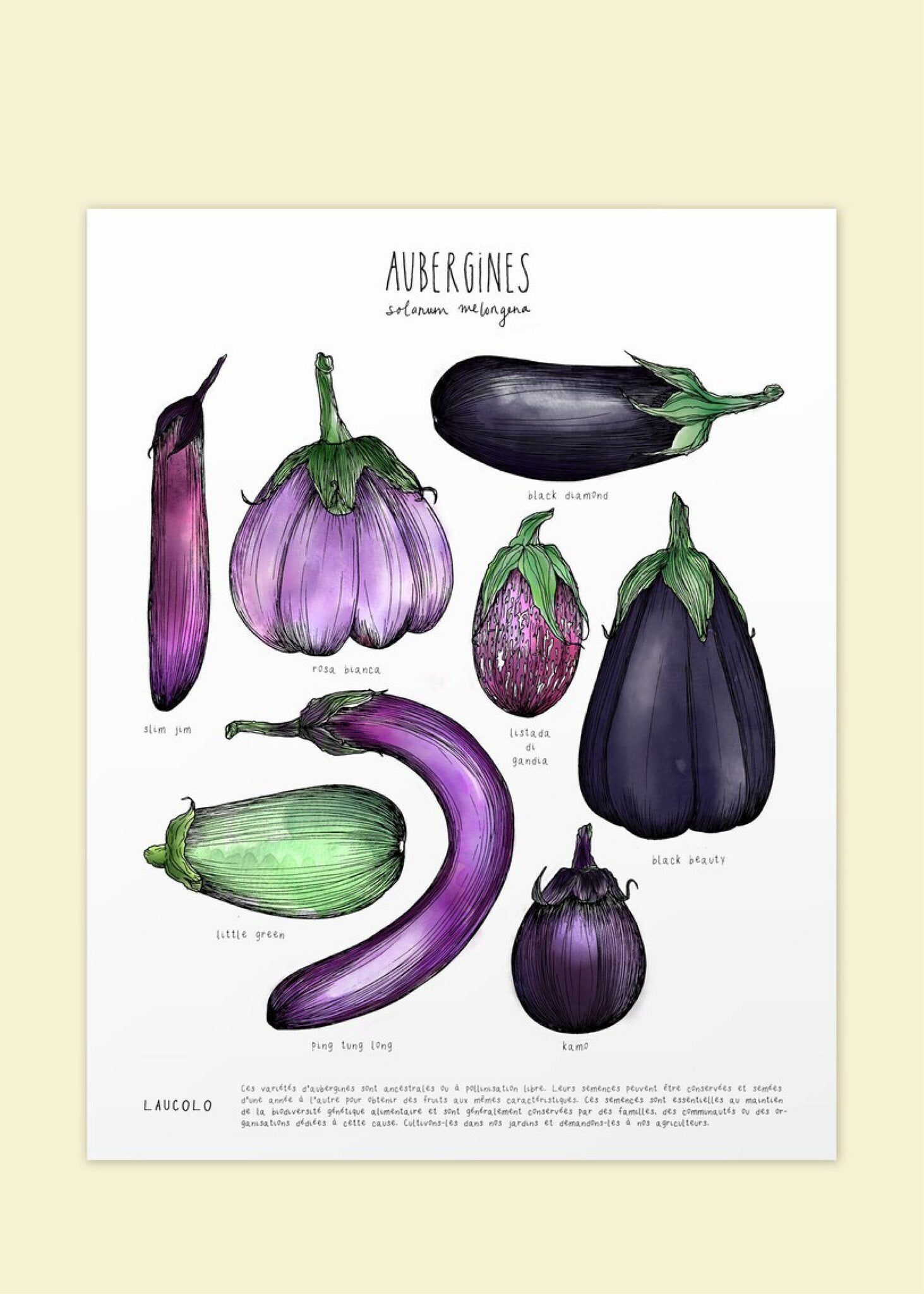 Affiche Laucolo 11 x 14 Aubergines