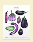 Affiche Laucolo 11 x 14 Aubergines