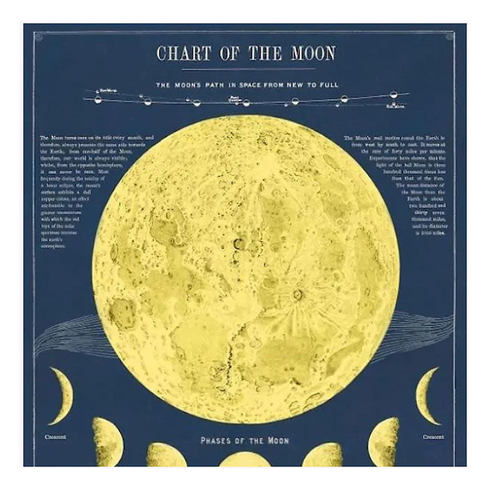 Affiche Cavallini Moon Chart