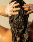 Shampooing Concentré Better Basics