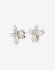 Boucles d'Oreilles Charmaine Pilgrim (Or ou Argent)