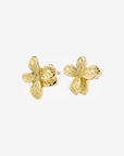 Pilgrim Charmaine Earrings (Gold or Silver)