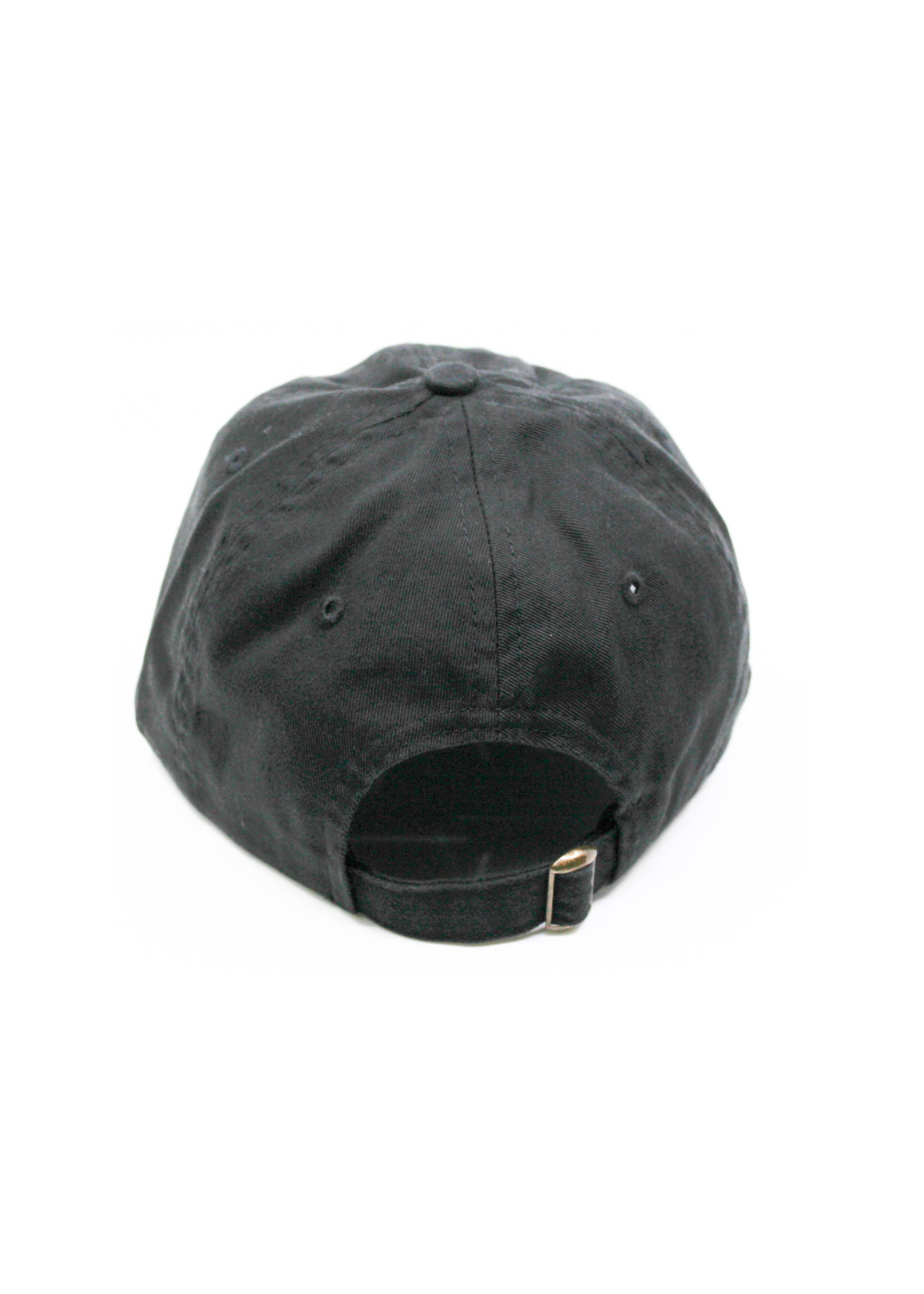 Casquette Noire Ask Me About My Dog Standard Goods