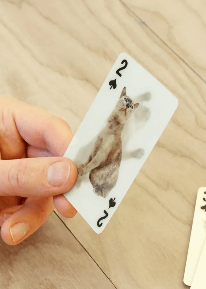 Jeu de Cartes 3D Chats KIK - Ex - voto