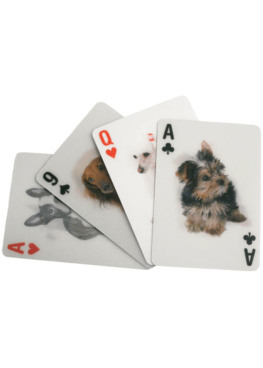 Jeu de cartes 3D chiens Kikkerland - Ex - voto