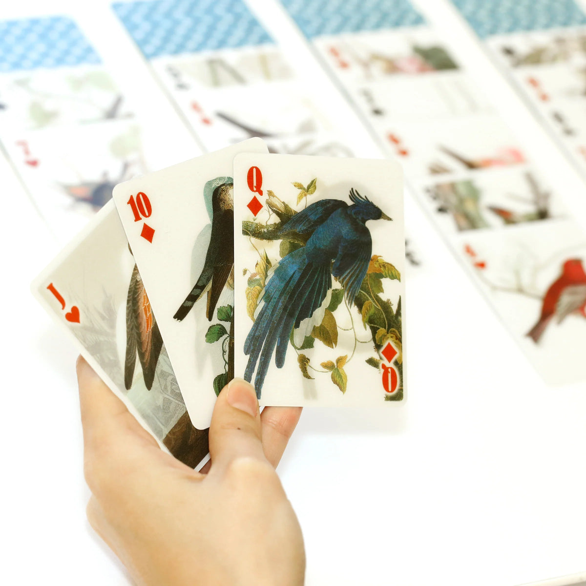 Jeu de cartes 3D Oiseaux Kikkerland - Ex - voto