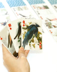 Jeu de cartes 3D Oiseaux Kikkerland - Ex - voto