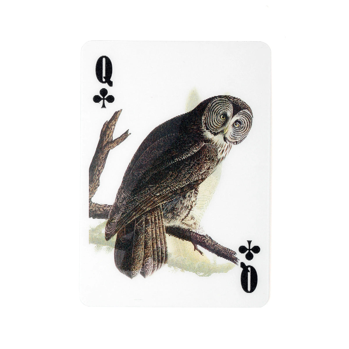 Jeu de cartes 3D Oiseaux Kikkerland - Ex - voto
