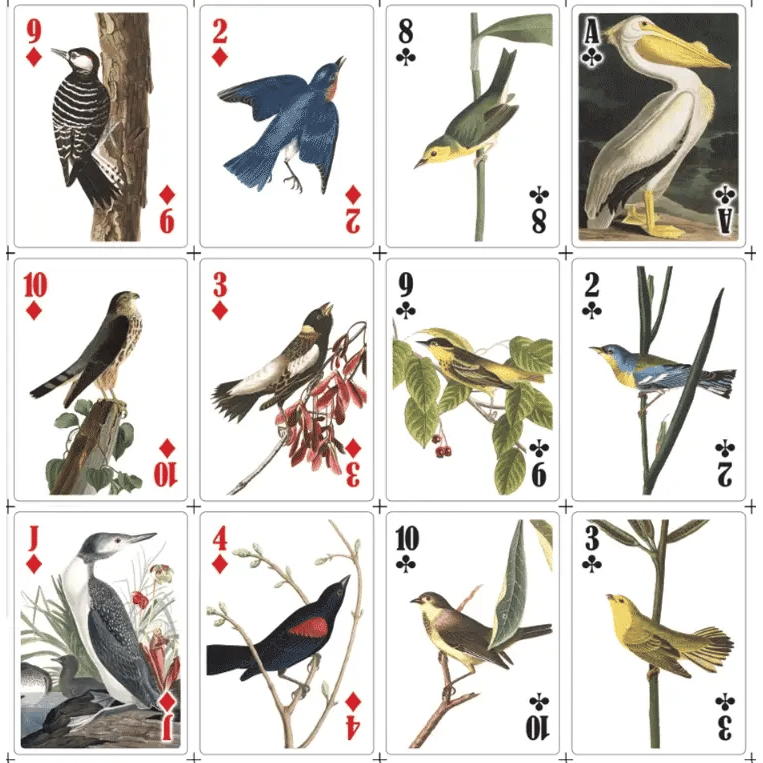 Jeu de cartes 3D Oiseaux Kikkerland - Ex - voto