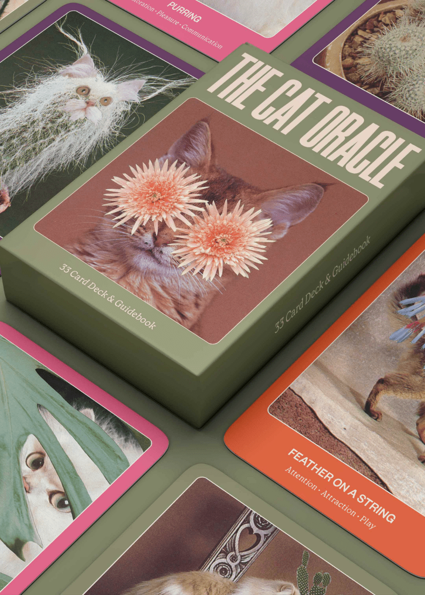 Jeu de Cartes The Cat Oracle Broccoli - Ex - voto